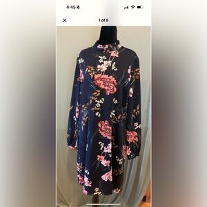 Lark & Ro Floral Long Sleeve Dress - Blue and Pink